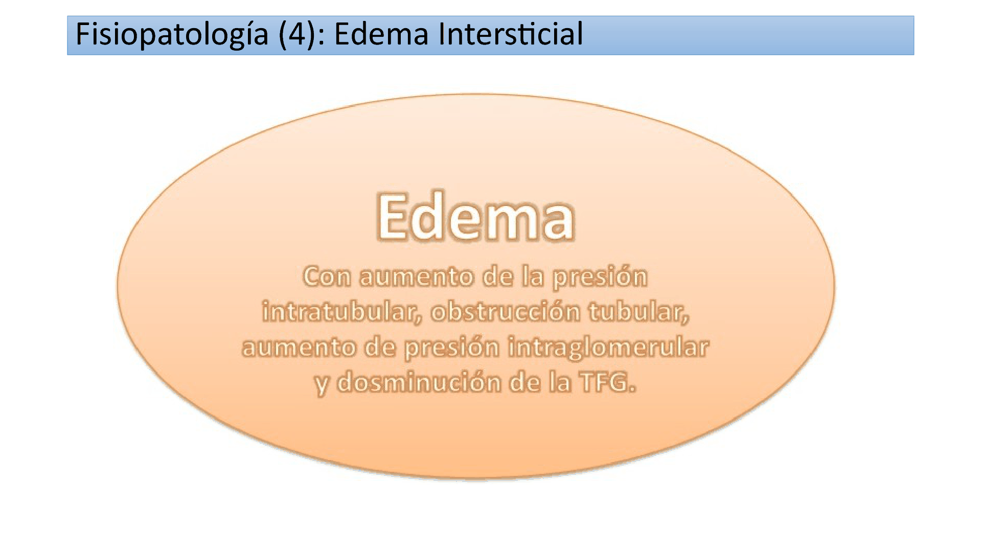 TUBULOINTERSTICIALES_D06.png