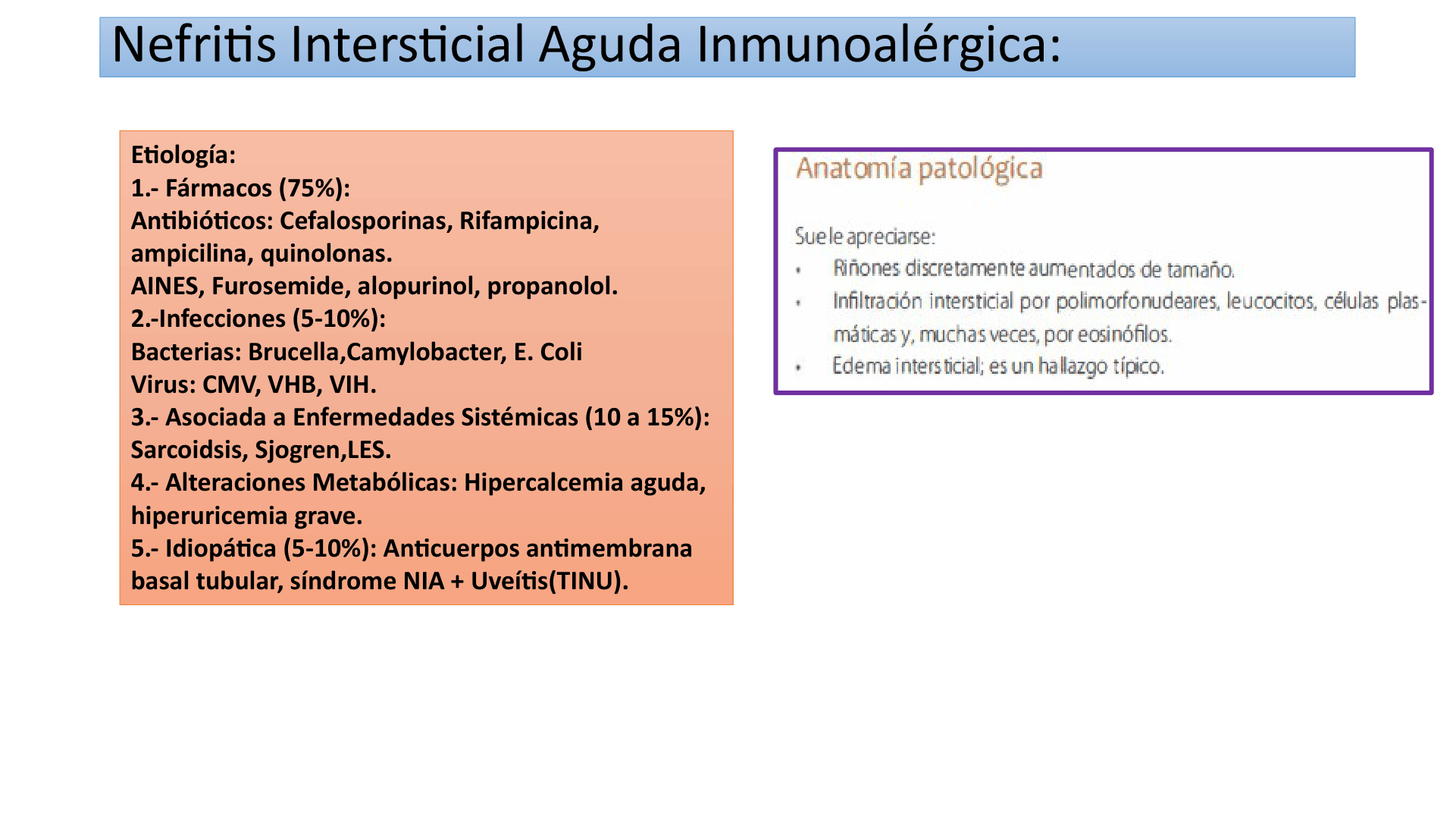 TUBULOINTERSTICIALES_D09.png