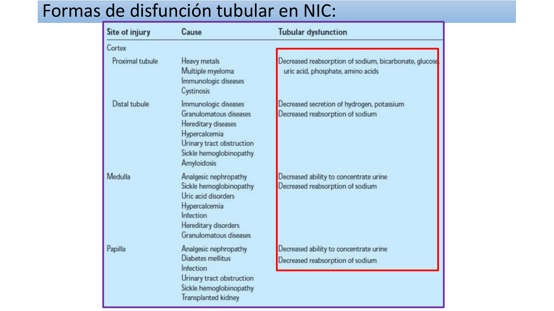 TUBULOINTERSTICIALES_D16.png