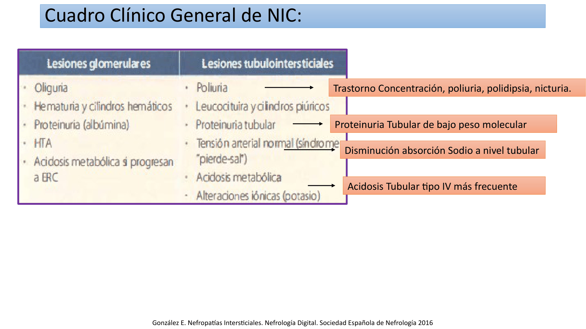 TUBULOINTERSTICIALES_D17.png