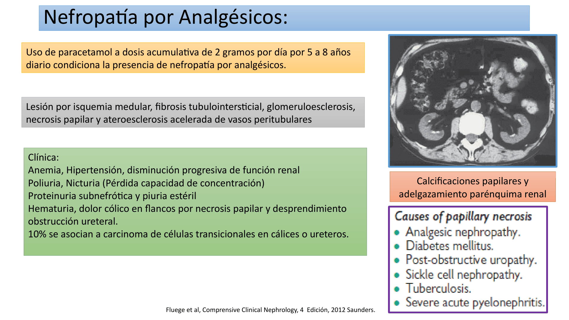 TUBULOINTERSTICIALES_D22.png