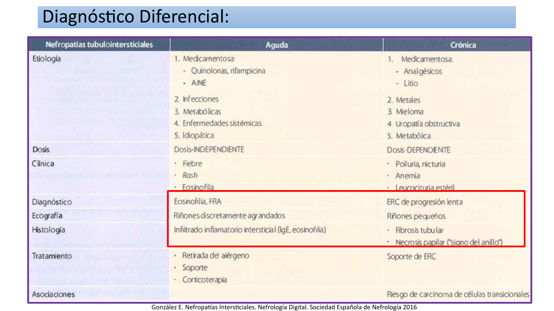 TUBULOINTERSTICIALES_D26.png