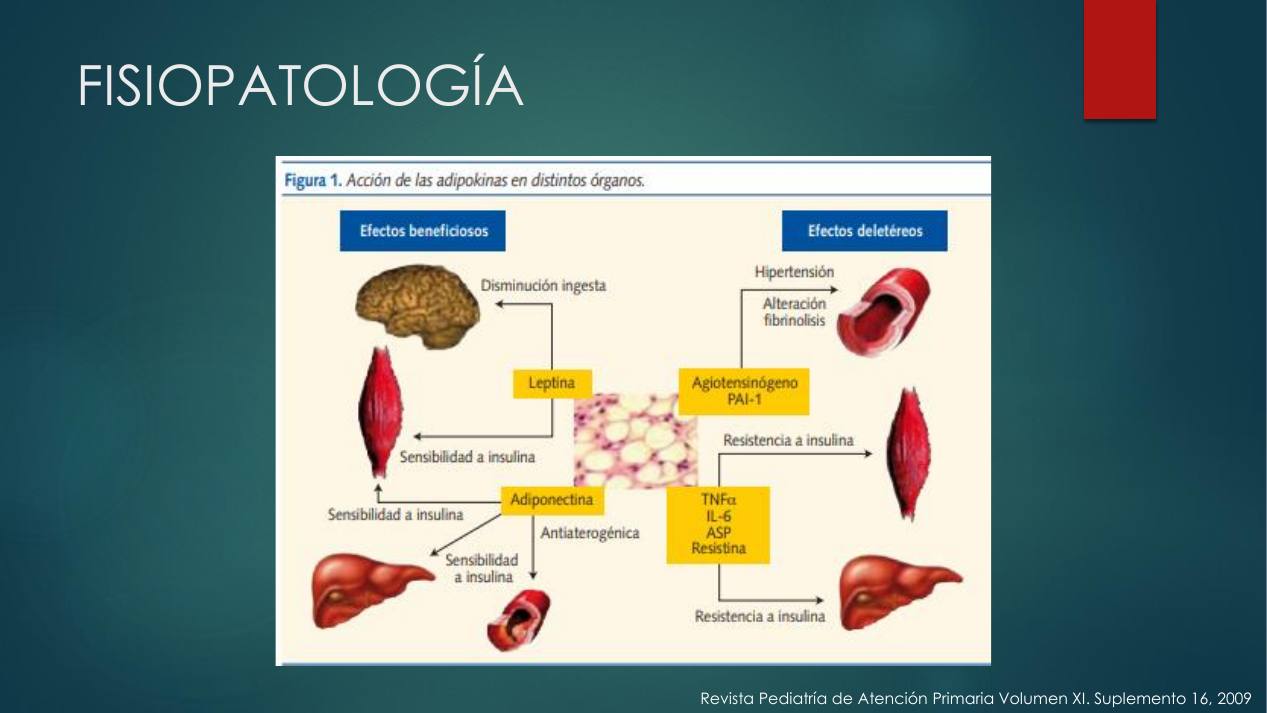 diagnostico-epidemiologia_s06.jpg800