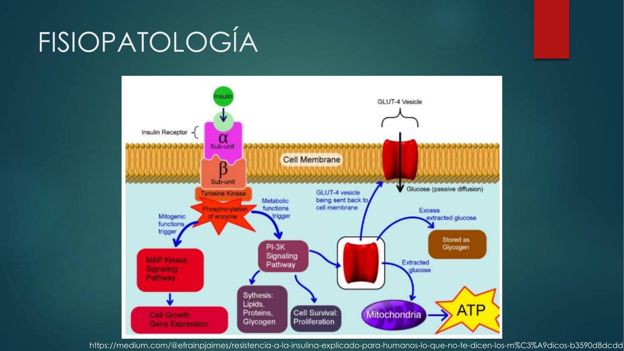 diagnostico-epidemiologia_s07.jpg800