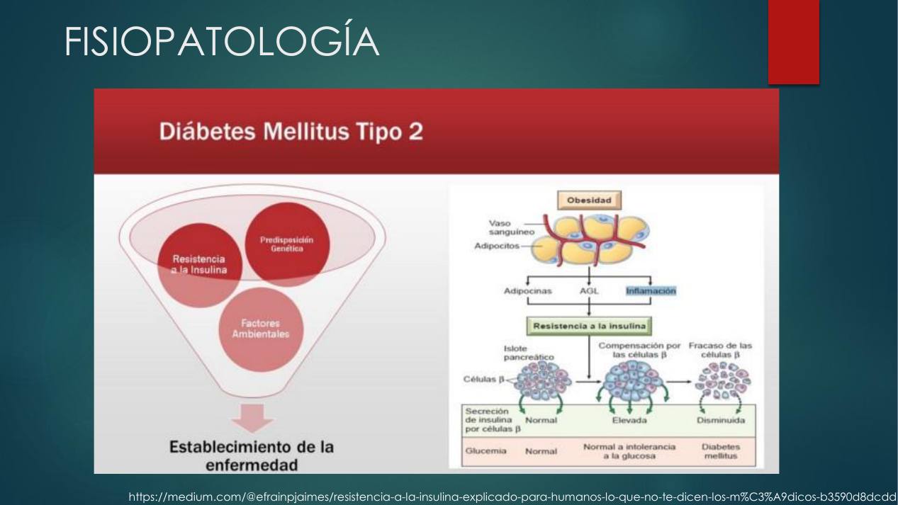 diagnostico-epidemiologia_s08.jpg800