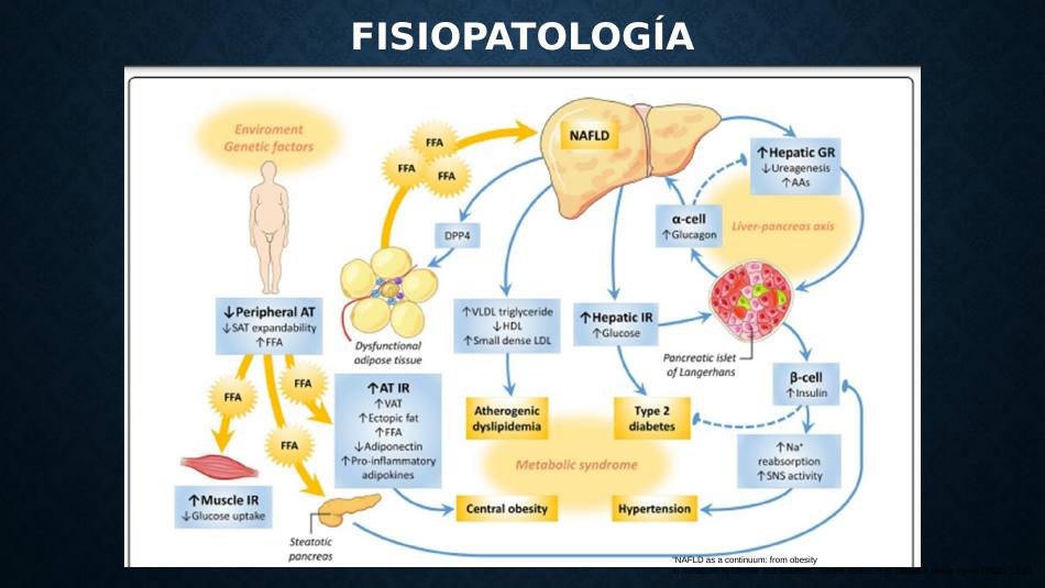 higado-graso-masld_s12.jpg800