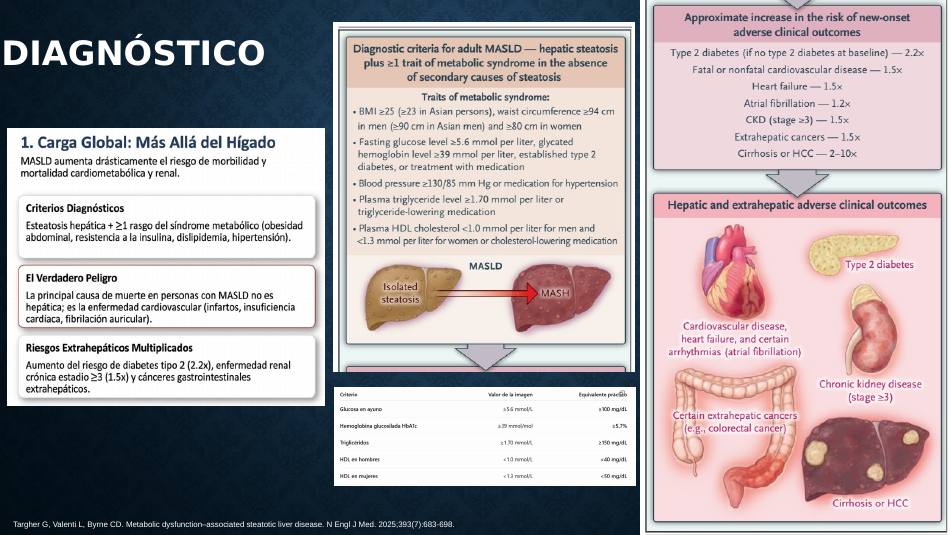 higado-graso-masld_s13.jpg800