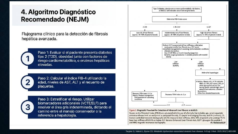 higado-graso-masld_s25.jpg800