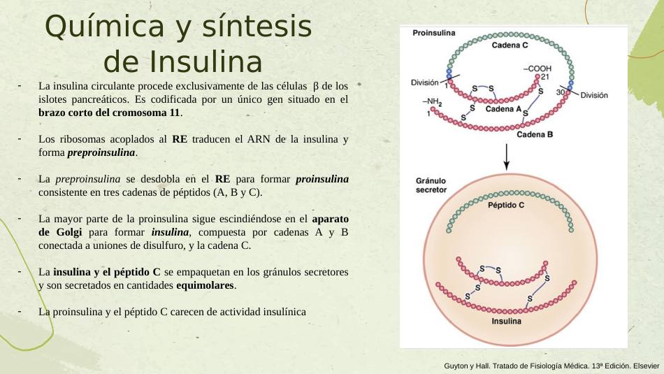 insulina_s03.jpg800