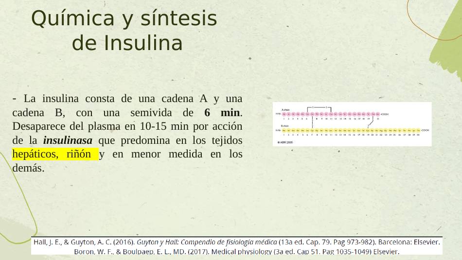 insulina_s04.jpg800