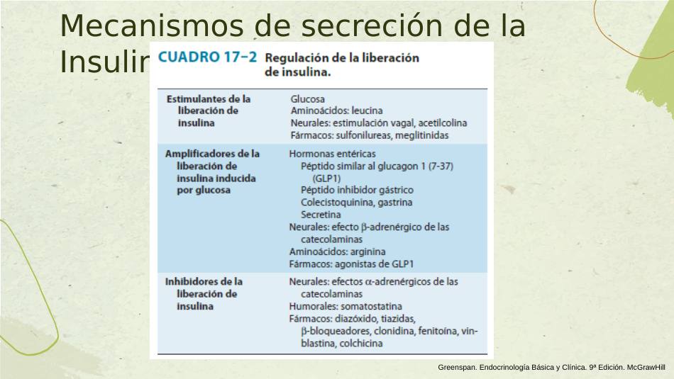 insulina_s05.jpg800