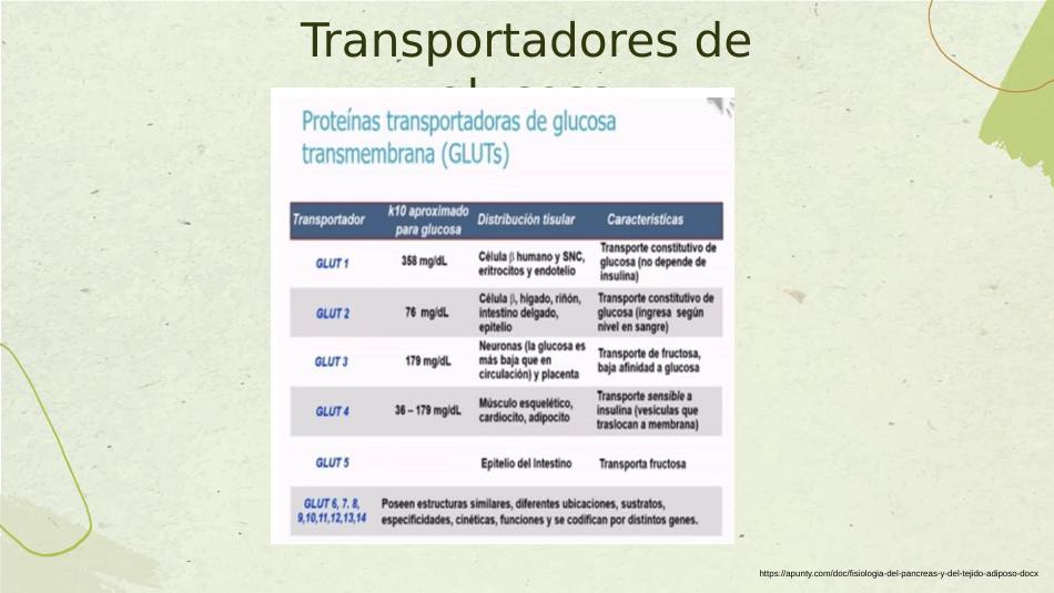 insulina_s09.jpg800