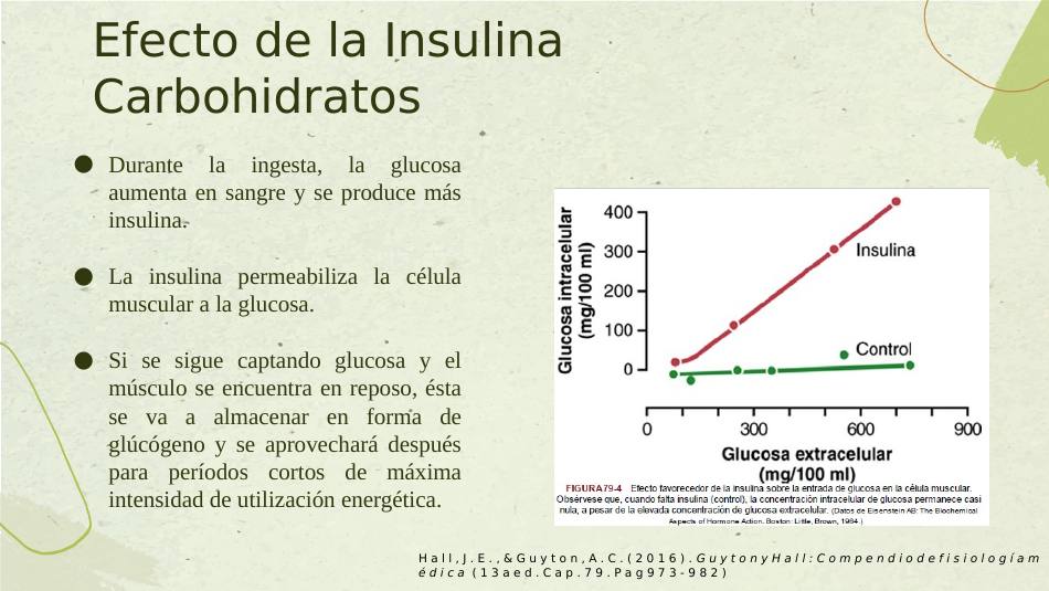 insulina_s12.jpg800