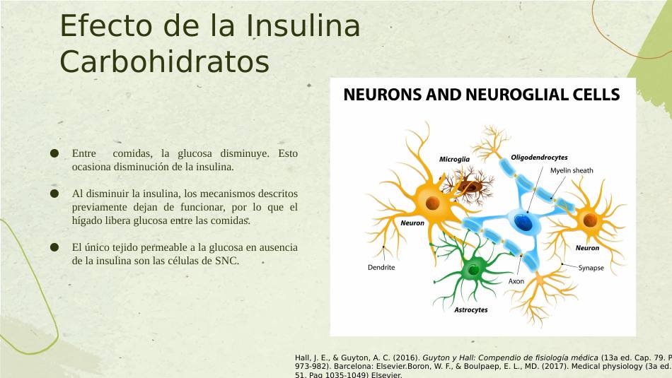 insulina_s14.jpg800