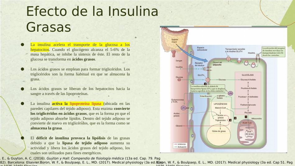 insulina_s15.jpg800