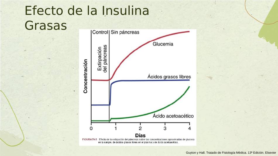 insulina_s16.jpg800