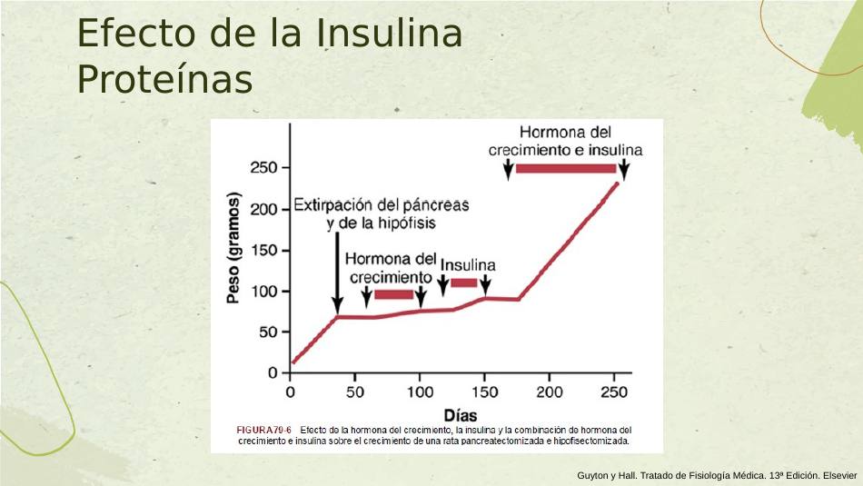 insulina_s18.jpg800