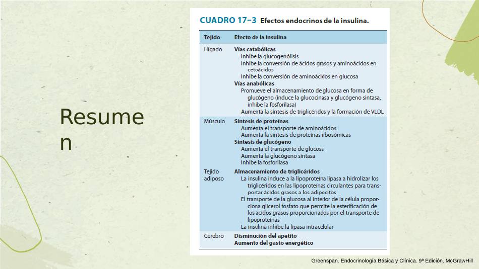 insulina_s19.jpg800