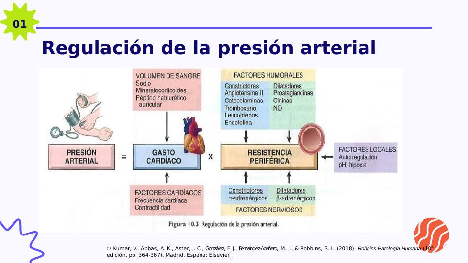 presion-arterial_s04.jpg800