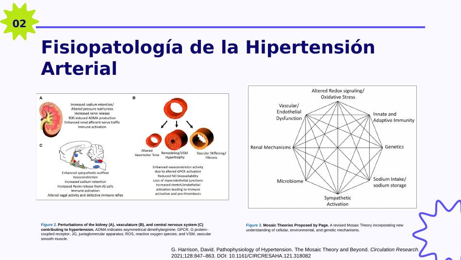 presion-arterial_s06.jpg800