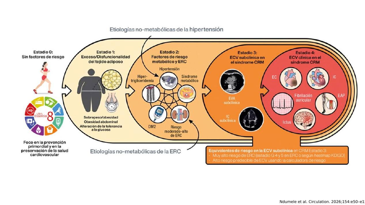 sindrome-crm_s04.jpg800